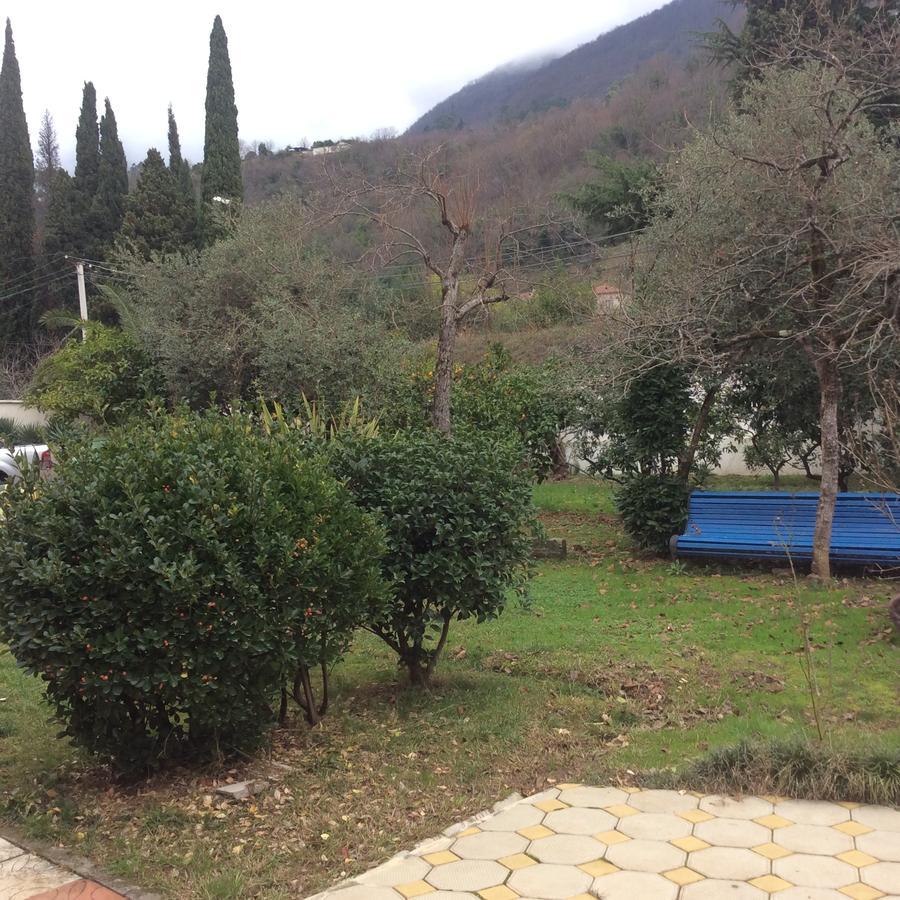 Guest House Dali Гагра Екстер'єр фото