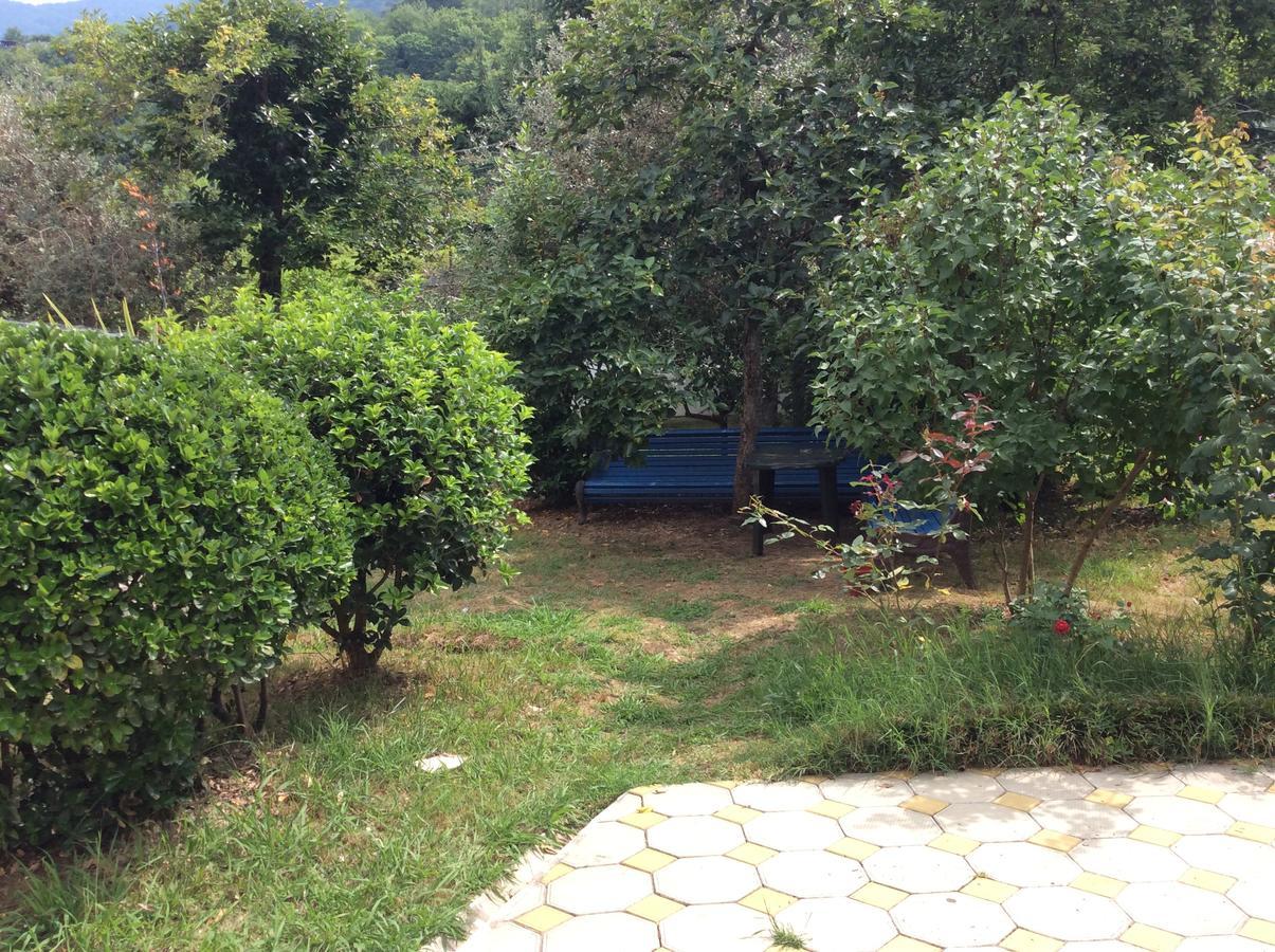 Guest House Dali Гагра Екстер'єр фото