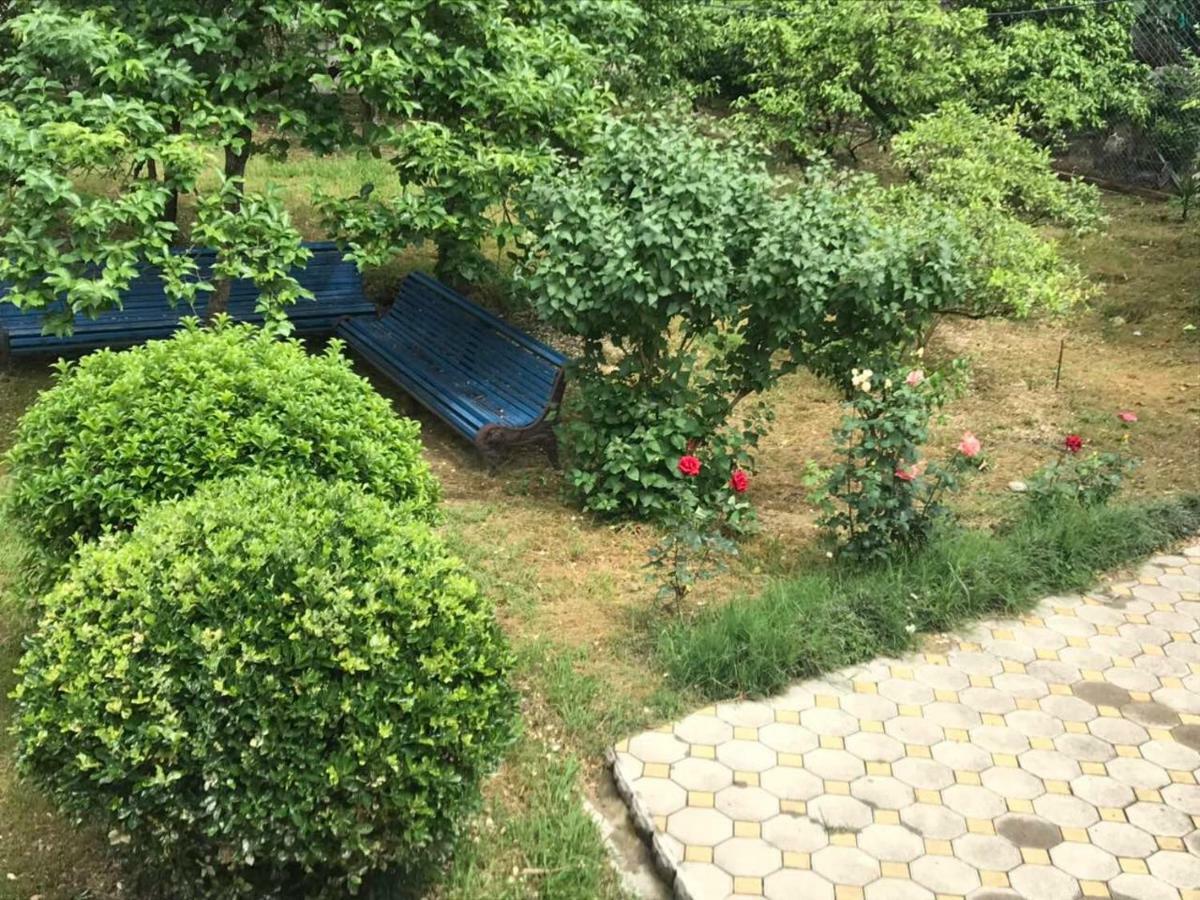 Guest House Dali Гагра Екстер'єр фото